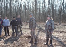 Лісове господарство