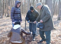 Лісове господарство