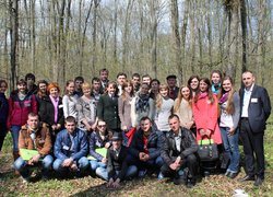 Лісове господарство