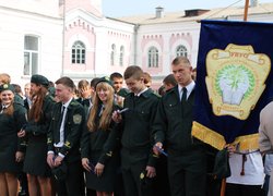 Лісове господарство