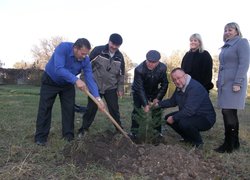 Лісове господарство