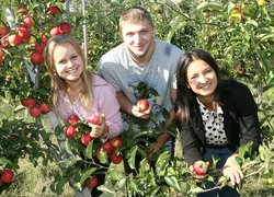 Садівництво, плодоовочівництво та виноградарство