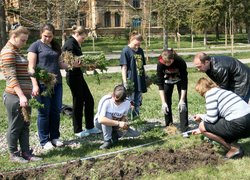Висадка самшиту на території Уманського НУС