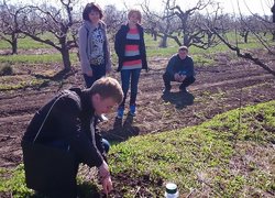 Захист лікарських рослин від шкідників на практиці