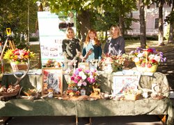 Віват, Університет!
