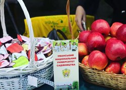 Живи яскраво разом з Уманським НУС