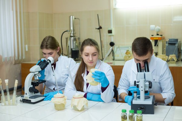 Laboratory lesson at the Department of Biology