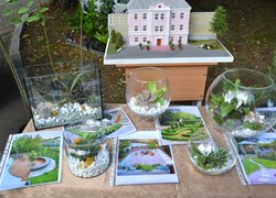 Dedication of freshmen to students at Uman National University of Horticulture