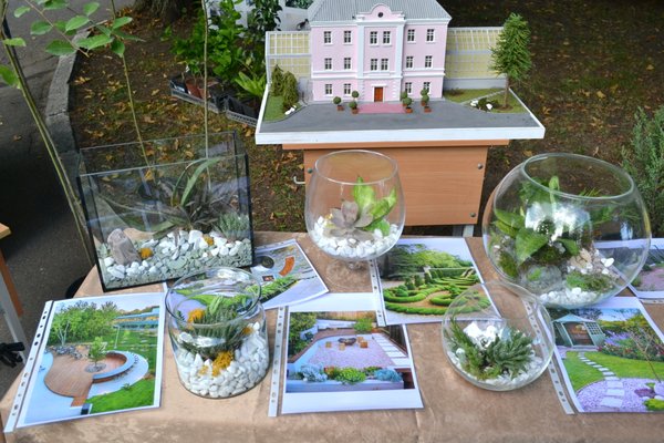 Dedication of freshmen to students at Uman National University of Horticulture