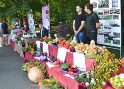 Dedication of freshmen to students at Uman National University of Horticulture