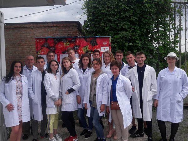 Харчові технології