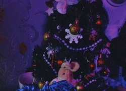Студентські канікули  - 2024
