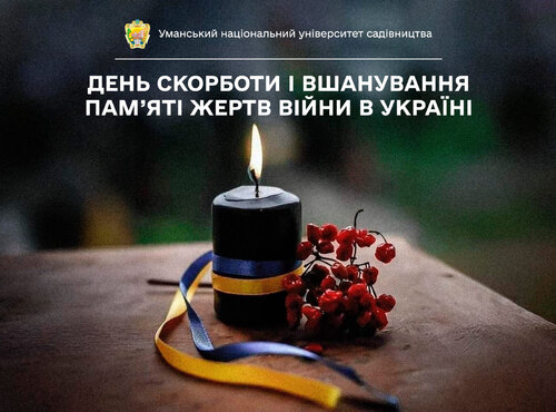 День скорботи і вшанування пам'яті жертв війни в Україні