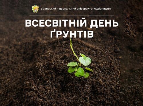5 грудня — Всесвітній день ґрунтів