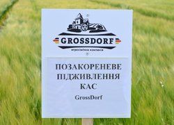 Науково-практична конференція «Актуальні пріоритети сучасної аграрної освіти, науки і практики» з нагоди 60-річчя стаціонарного польового досліду кафедри агрохімії і ґрунтознавства та 180-річчя університету