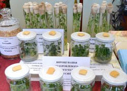 В Уманському національному університеті садівництва відзначили День науки 