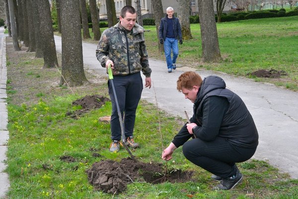 В Уманському національному університеті садівництва оновили горіхову алею