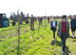 Традиції Уманського НУС — студенти висадили яблуні до університетського саду