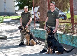 Колектив Уманського НУС познайомився з роботою поліцейських кінологів та їхніх вихованців 