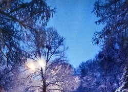В університеті садівництва визначили переможців фотоконкурсу «Сучасність УНУС у світлинах»