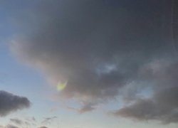 День пам’яті жертв голодомору