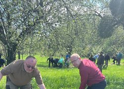 «Шевченко єднає Україну»: Керівництво Уманського НУС долучилось до висаджування дубів Кобзаря