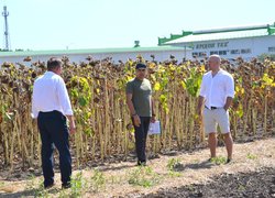 В Уманському НУС вп’яте відбувся Науково-практичний семінар «Ефективні технології вирощування сільськогосподарських культур»