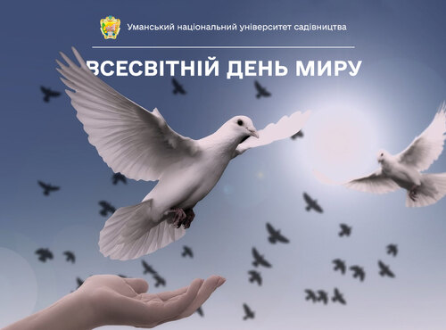 1 січня — Всесвітній день миру