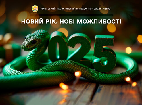 З прийдешнім 2025 роком, шановна університетська громадо!
