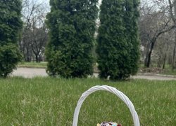 Фотоконкурс «Гарна, як писанка» — мистецтво у кадрі!