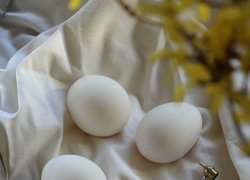 Фотоконкурс «Гарна, як писанка» — мистецтво у кадрі!