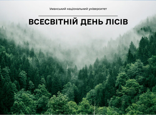 21 березня — Всесвітній день лісів