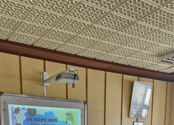 Вшановуємо українських добровольців