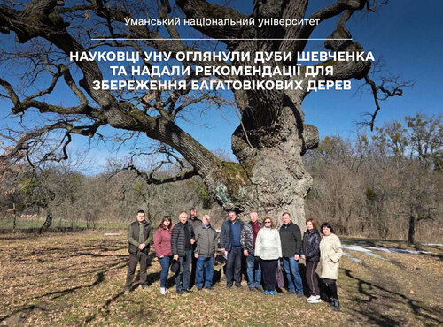 Науковці УНУ оглянули дуби Шевченка та надали рекомендації для збереження багатовікових дерев