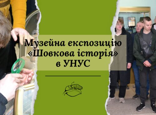 В музейній кімнаті презентували експозицію «Шовкова історія»