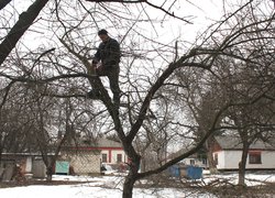 Благодійна акція "Обрізка дерев"