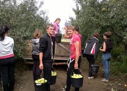 Студенти 12-п групи на збиранні врожаю в університетському саду