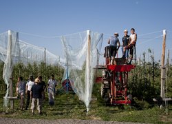 Садівництво, плодоовочівництво та виноградарство