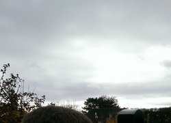 Полігонометрія