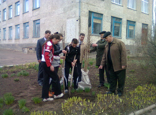 Озеленення Гайворонського міжшкільного навчально-виробничого комбінату