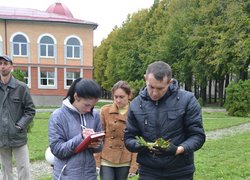 В Уманському НУС закладено унікальний ірисарій