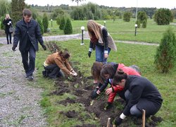 В Уманському НУС закладено унікальний ірисарій
