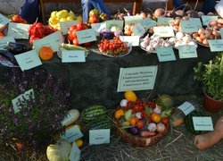 Делегація Уманського НУС стала учасником урочистих заходів з нагоди святкування 90-річчя Уманського району