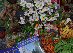 The Open Day in Uman NUH